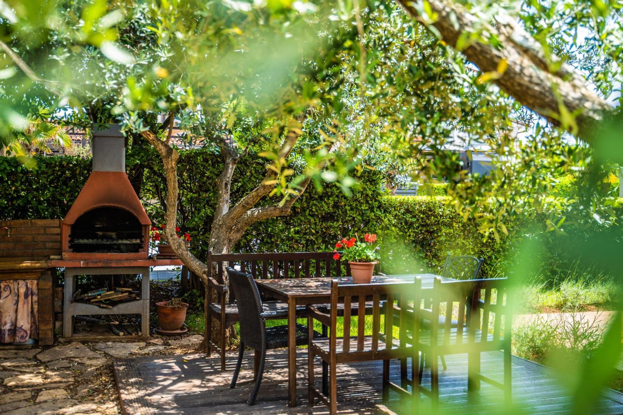 Apartment Oliveto - Calming Sea View